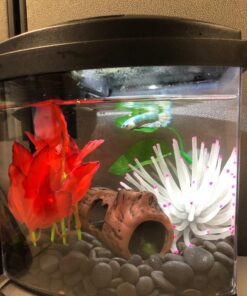 Marina Naturals Red Foreground Silk Plant – Fish Tank Decoration Mimics Live Aquarium Plants Red Small 28 71kmsPThxL