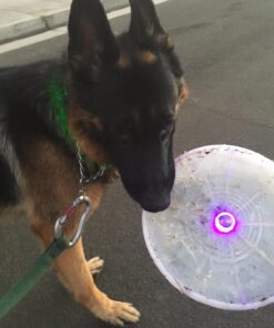 Nite Ize Flashflight LED Light Up Flying Disc Replaceable Batteries Disc-o 38 71koRAGwpBL