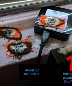 TERRO Liquid Ant Killer ll T200, 2 oz 45 71kp2ng7jRL