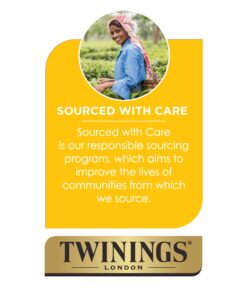 Twinings Green Tea Keurig K-Cups, 48 Count 24 Count (Pack of 2) 16 71kqEGQBmzL