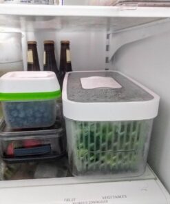 OXO Good Grips GreenSaver Produce Keeper - Large,White 54 71ksHSrIMVL