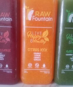 3 Day Juice Cleanse by Raw Fountain, All Natural Raw Detox Cleanse, Weight Management Program, Cold Pressed Fruit and Vegetable Juices, Tasty and Energizing, 18 Bottles 12oz, 3 Ginger Shots 3 Day Cleanse 44 71ksKexavrL