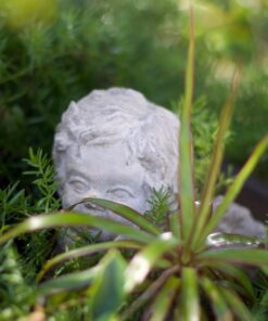 Nikon AF-S FX NIKKOR 50mm f/1.4G Lens with Auto Focus for Nikon DSLR Cameras Lens Only 58 71ksmvkG3vL