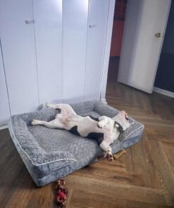 WNPETHOME Dog Beds for Extra Large Dogs, Washable, Bolster Sofa Bed with Waterproof Lining & Non-Skid Bottom, Orthopedic Egg Foam Couch for Pet Sleeping, Pet Bed 42.0"L x 30.0"W x 7.0"Th Grey 39 71ku8IjjYL