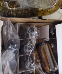 Vivaplex 12, Amber, 2 oz Glass Bottles, With Glass Eye Droppers 23 71kuGQ7leOL