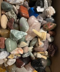 DANCING BEAR Rock, Mineral & Geodes Treasure Hunt Activity Kit (200 Pc Set) Real Shark Teeth Fossils, ID Sheet & Rock Book, STEM Rock, Mineral & Geodes Collection 49 71kuGbwJWJL