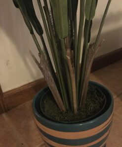 Nearly Natural 6739 Birdsnest Plant, 3.5-Feet, Green 21 71kuORXRQNL