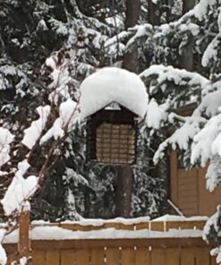 More Birds Double Suet Cage Bird Feeder with Metal Roof, Fruit and Suet Feeder, 2 Suet Cake Capacity Brown Double Cage 47 71kwOpvXLeL