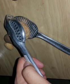Magic Nutcracker Tool Works in Seconds. No Mess. Works on Walnuts, Almonds, Pecans, Hazelnuts. Great to Use As a Lemon Lime Squeezer. 63 71kzrlgC3FL