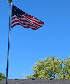 Annin Flagmakers American Flag All-Weather Nylon SolarGuard Nyl-Glo, 4 x 6 Feet (Model 2220) 4x6 ft 32 71l YycW4sL