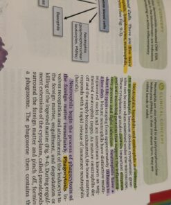 Zebra Pen Mildliner Double Ended Highlighter Set, Broad and Fine Point Tips, Assorted Ink Colors, 15-Pack 53 71l2kffI5kL