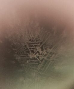 Fairhaven Health Fertile Focus Ovulation Test Kit - Women's Fertility Tracker and Predictor - 3 Days in Advance - Ovulation Kit - Accurate, Reusable Home Saliva Test - Results in Five Minutes 57 71l9juJBhNL