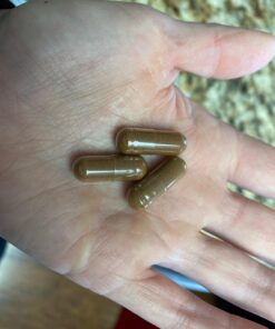 Organic Ceylon Cinnamon Supplement Capsules: All Natural Vegan Cinnamon Pills - Antioxidant Support for Healthy Joints, Circulation and Digestion - 60 Veggie Capsules 23 71l9vm d8pL