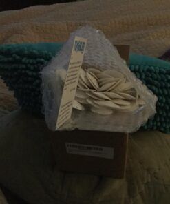 Tumbler Home Sand Dollars 50pcs - Under 1" Inch - Small Natural White Sand Dollar - Sea Shell for Crafts - Wedding Shells - Bulk Sand Dollars 40 71lC1MU9blL