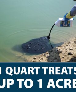 Airmax Pond Dye 4X Concentrate for Outdoor Ponds & Lakes, Natural Pond Colorant & Water Beauty Enhancer, Block Ultraviolet Rays, Fish, Bird & Livestock Safe, Easy Liquid Application, 1 Quart Twilight Blue - 1 Quart 18 71lCMe900JL