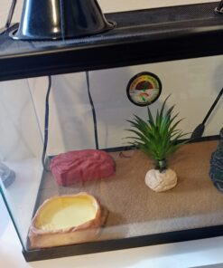 Zoo Med Repticare Rock Heater 1 Count (Pack of 1) 11 71lDk R01mL