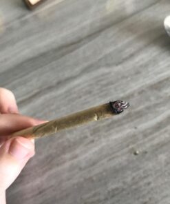 Raw Unrefined Classic 1.25 1 1/4 Size Cigarette Rolling Papers, 50 Count (Pack of 4) 27 71lDsKp8d9L