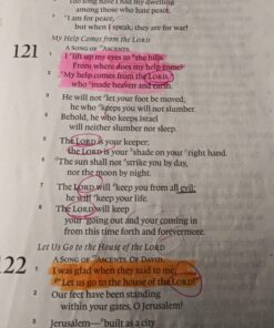 Amazon Basics Chisel Tip, Fluorescent Ink Highlighters, Assorted Colors - Pack of 12 12 Pack 51 71lFibkKdjL