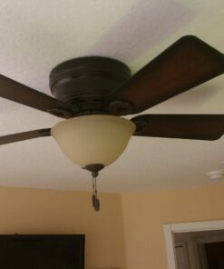 Hunter Fan Company, 51023, 42 inch Conroy Onyx Bengal Low Profile Ceiling Fan with LED Light Kit and Pull Chain Onyx Bengal finish 29 71lLXyVFPdL