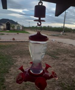 Perky-Pet 245L Ant Guard for Hummingbird & Oriole Feeders - Protects Nectar From Ants, Red, Pack of 1 26 71lLZxpHzhL 4