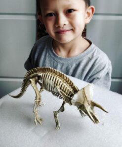 Large Dinosaur Excavation Kit 38 71lSYhbbChL