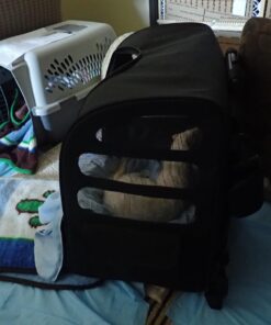 Pet Gear I-GO2 Roller Backpack, Travel Carrier, Car Seat for Cats/Dogs, Mesh Ventilation, Included Tether, Telescoping Handle, Storage Pouch 22.0"L x 13.5"W x 16.0"H 38 71lUZWk47oL