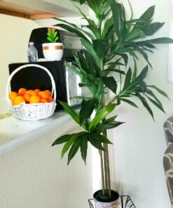Nearly Natural 6596 6ft. Dracaena Silk Plant (Real Touch),Green 44 71lUhQYyM6L