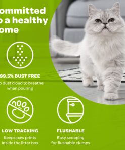 sWheat Scoop Natural Wheat Multi-Cat Litter, Superior Clumping with Odor Neutralizing Enzymes, 25 Pound Bag Multi Cat 15 71lVN5h2SGL