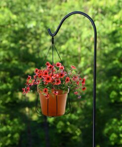 Ashman Black Shepherd Hook 92 Inch (Pack of 3), 1/2-Inch Thick, Solid Metal Single Piece Hook, Super Strong, Rust Resistant, Hanging Plant Baskets, Heavy Bird Feeders & More. 3 Pack 17 71lWs ESF3L