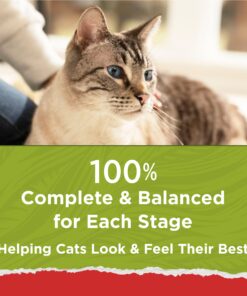 Purina Cat Chow Naturals With Added Vitamins, Minerals and Nutrients Dry Cat Food, Naturals Original - 13 lb. Bag Chicken & Salmon 13.00 Pound (Pack of 1) 28 71lY6hiFInL