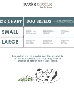 Paws & Pals Airline Approved Pet Carrier - Soft-Sided Carriers for Small Medium Cats and Dogs Air-Plane Travel On-Board Under Seat Carrying Bag with Fleece Bolster Bed for Kitten Cat Puppy Dog Taxi Green 35 71lYsUnc22L