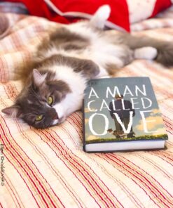 A Man Called Ove: A Novel 12 71le8Y6zS1L