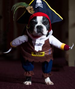 NACOCO Pet Dog Costume Pirates of The Caribbean Style (Medium) Medium Brown 41 71lgMzA4RQL