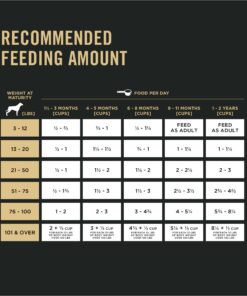 Purina Pro Plan High Protein Dry Puppy Food, Chicken and Rice Formula - 6 lb. Bag Chicken & Rice 24 71lgkvNyinL