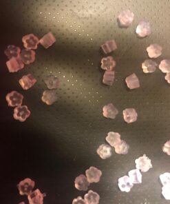 UnCommon Artistry Petal-Eze Flower Style Soft Rubber Earring Backs (Earnuts) 100 5 71lhvjBG5PL