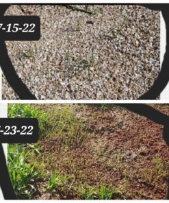 Scotts EZ Seed Patch & Repair Sun and Shade Mulch, Grass Seed, Fertilizer Combination for Bare Spots and Repair, 20 lb 20 lb. 1 Pack 50 71llmXOlezL 1