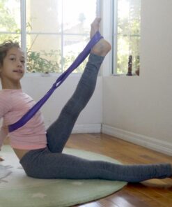 The PlumBand Stretch Band for Dance and Ballet – Colors and Sizes for Kids & Adults – Improve Your Splits, Strength, and Flexibility with Stretching – Printed Instruction Booklet and Travel Bag Plum Purple Regular 50 71lm0MnRzaL