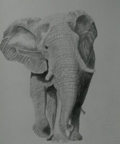 Derwent Graphic Pencils, Metal Tin, 24 Count (34202) 24 Count (Pack of 1) 43 71lmBWlUUL