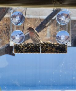 Window Bird Feeders for Outside - Large Bird House Style Window Bird Feeder - Window Bird Feeders with Strong Suction Cups with Drain Holes, Removable Tray, Large Seed Capacity and Rubber Perch 39 71lpZZMMRGL