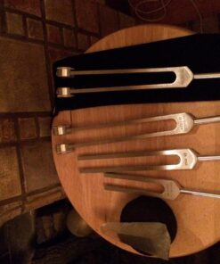 Tuning the Human Biofield: Healing with Vibrational Sound Therapy 10 71lsvgd gQL