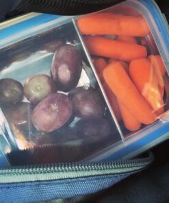 Innobaby Keepin' Fresh Stainless Steel Divided Bento Snack Box with Lid for Kids and Toddlers BPA Free, 11 oz., Blue 27 71ltTuDS1JL