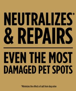 Scotts EZ Seed Dog Spot Repair Sun and Shade - 2 Lb., Mulch, Seed and Soil Amendment with Protectant and Tackifier, Repairs Pet Spots 2 lb. 1 Pack 35 71lvtslMnEL