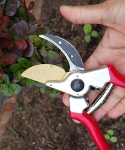 Haus & Garten ClassicPRO 8.5" Bypass Pruning Shears - Premium Garden Shears - Use As Gardening Shears, Garden Clippers, Handheld Heavy-Duty Professional Pruning Shears For Gardening & Pruning Scissors 44 71lyfcNBUFL