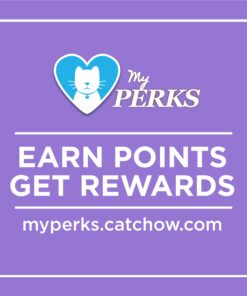 Purina Cat Chow Gentle Dry Cat Food, Sensitive Stomach + Skin - 13 lb. Bag 13.00 Pound (Pack of 1) 31 71m tn3PtRL