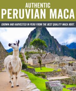Viva Naturals Organic Maca Powder - Gelatinized Maca Powder Organic, Vegan and Kosher Peruvian Superfood - Certified USDA Organic, Gluten-Free & Non-GMO 1 Pound (Pack of 1) 23 71m1A2iOPAL