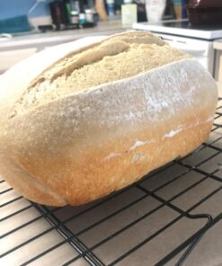 Hoosier Hill Farm Dry Malt (Diastatic) baking Powder 1.5 lb. 48 71m1VmmdoZL