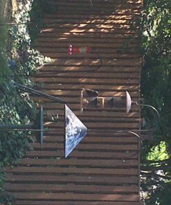 Kaytee Shelled Peanuts For Woodpeckers, Nuthatches, Jays, Towhees, Cardinals, Indigo Buntings & Other Wild Birds, 10 Pound 41 71m2BfUBLgL 2