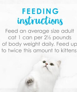 Purina Fancy Feast Grilled Gravy Wet Cat Food, Delights Grilled Tuna & Cheddar Cheese Feast - (24) 3 oz. Cans Cheddar Delights in Gravy 3.00 Ounce (Pack of 24) 35 71m3wzLWBL 1