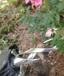 AMES 2917300 Steel Stand-Up Weeder, 40-Inch 19 71mAYMHC4 L