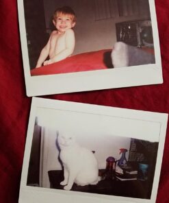 Fujifilm Instax Wide Instant Films for Fuji Instax Wide 210 200 100 300, Pack of 5 32 71mFDyF5fHL